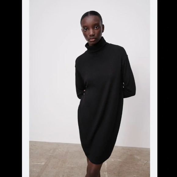 Zara Soft Turtleneck Relaxed Sweater  Dress - Picture 1 of 15